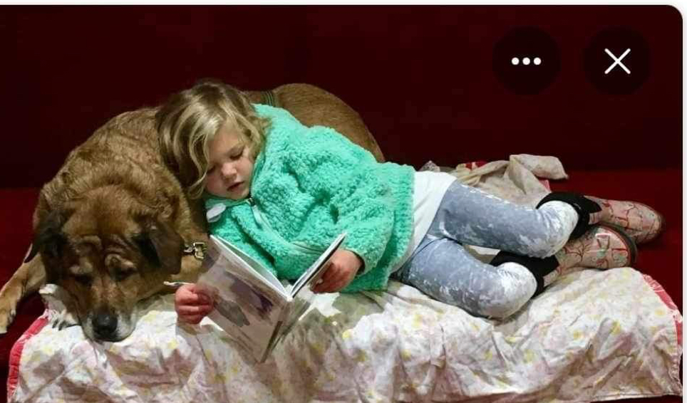 Reading session · veteran service dog supporting a young reader.