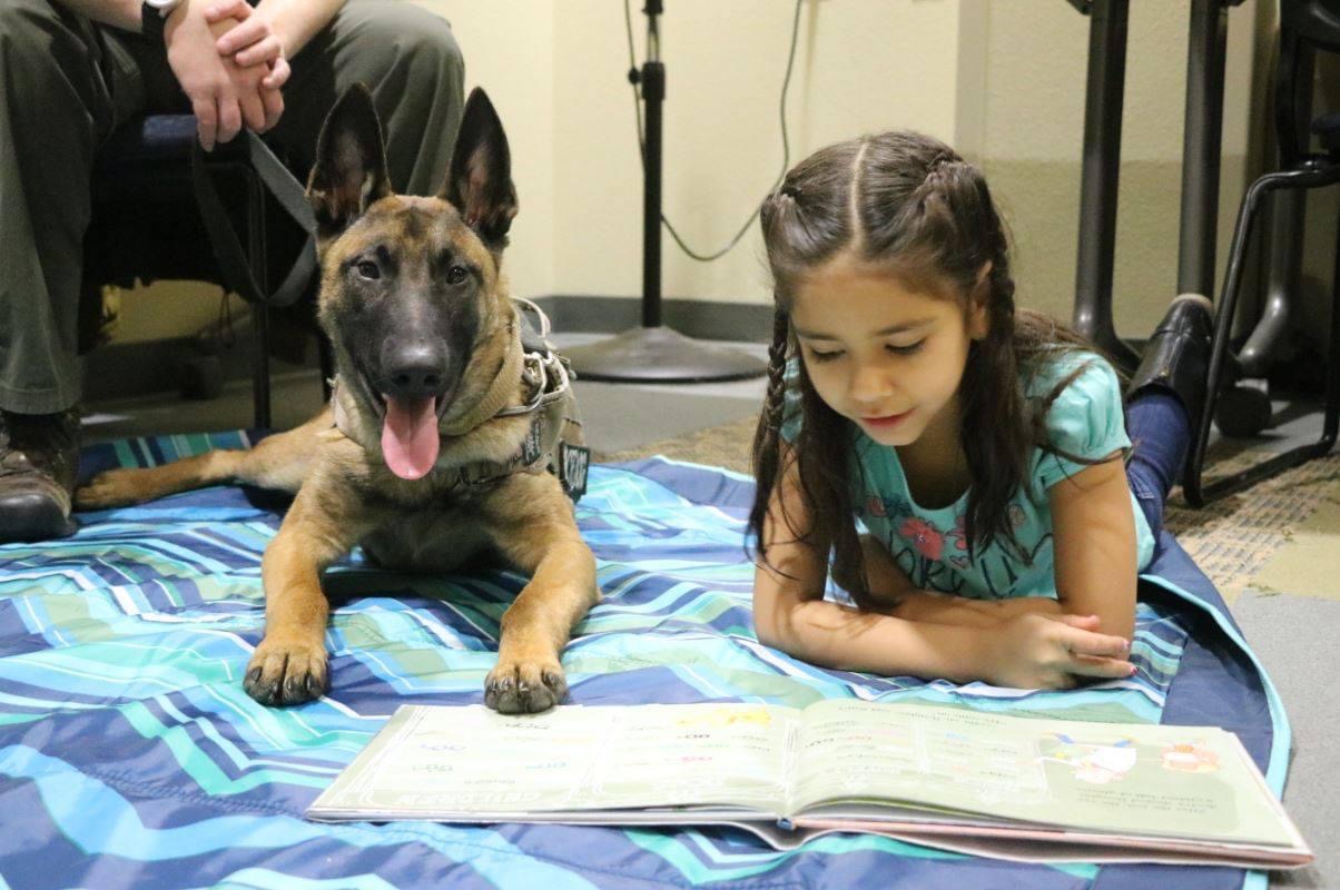 Working partner offering calm during a reading program.